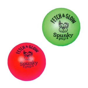 Fetch and Glow Ball 2pk - Small