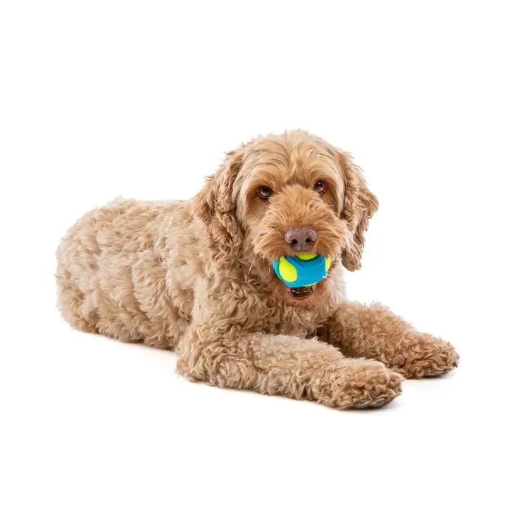 Guru Pet Tennis Max Ball Dog Fetch Toy