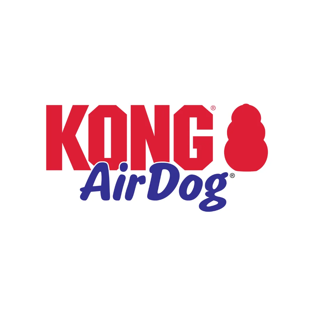 Kong AirDog Squeaker Dumbbell